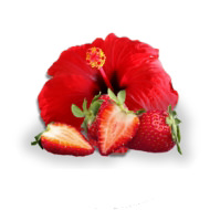 fraise et hibiscus saveur sani fontaines