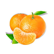 mandarine saveur sani fontaines