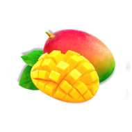 mangue saveur sani fontaines