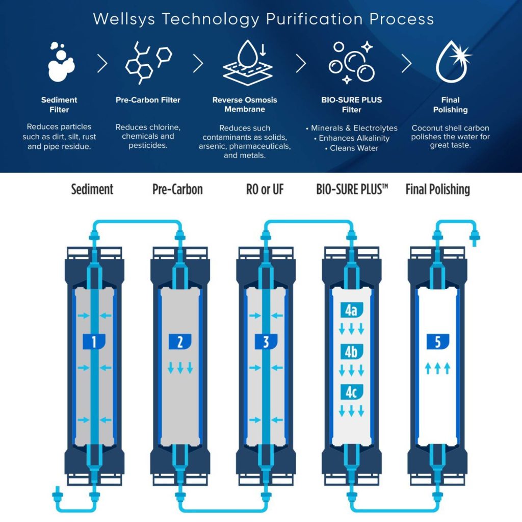 Wellsys reverse osmosis water purification process