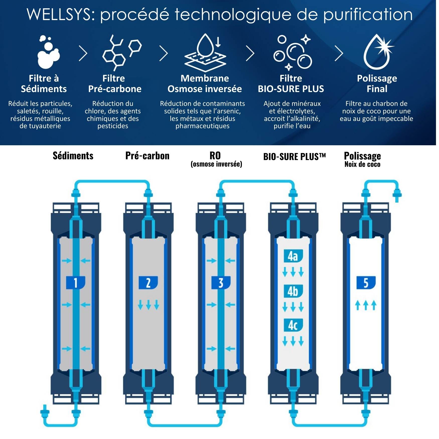 Wellsys-système de purification d'eau par osmose inversée