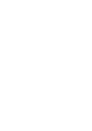 ico_ice
