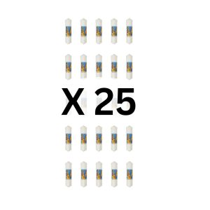 Water filter OMNIPURE K5515-JJ-2.5X10-25 units pack