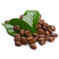 Kupa-station-flavored fountain-coffee flavor